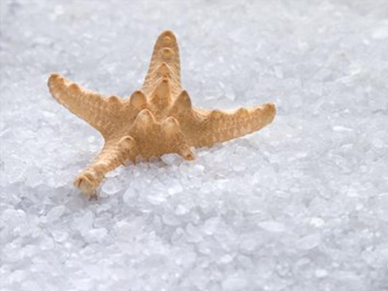 工業(yè)鹽基地環(huán)境